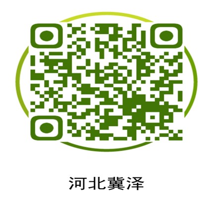 新宝GG